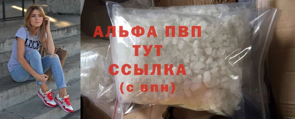 спиды Богородицк
