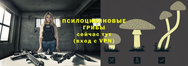 спиды Богородицк