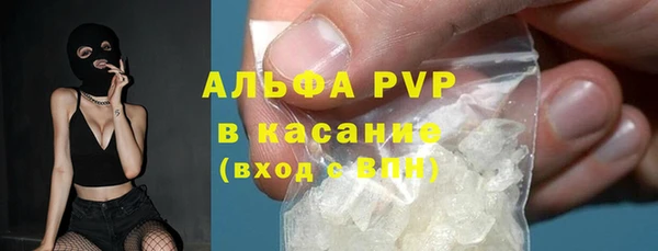 спиды Богородицк