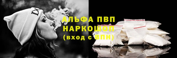 спиды Богородицк