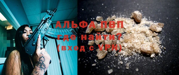 дмт Богородск