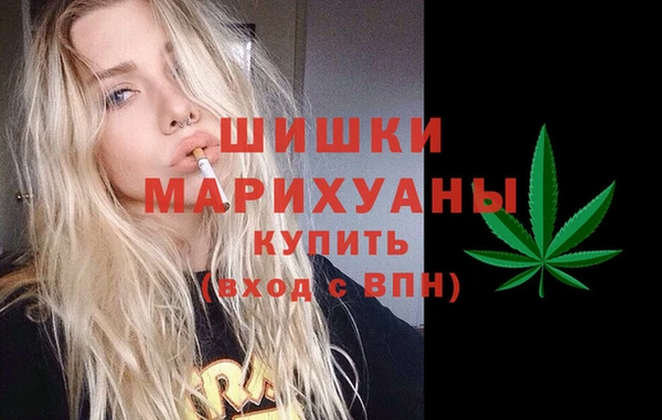 дмт Богородск