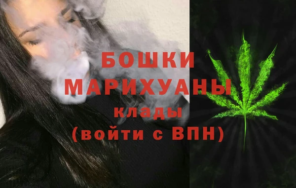 спиды Богородицк
