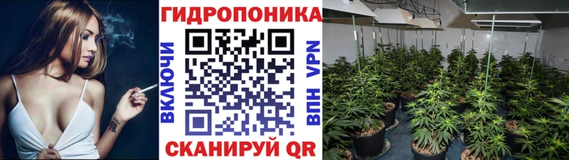 купить наркотики цена  Острогожск  МАРИХУАНА план 